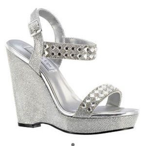 Silver Wedges EUC